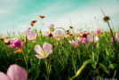 April Photo of the Month TOP 5 – VOTE