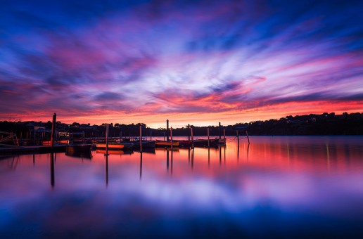 Photo of the Month May Top 41 VOTE