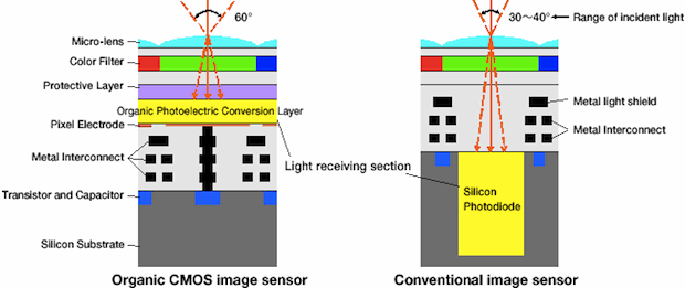 organic sensor