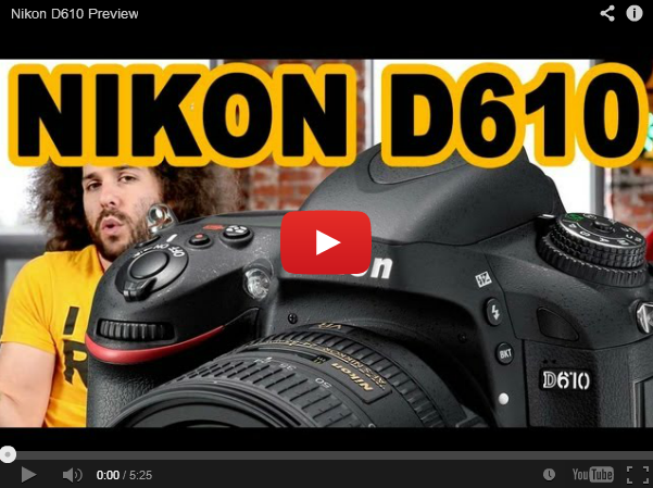 nikon d610 preview screenshot