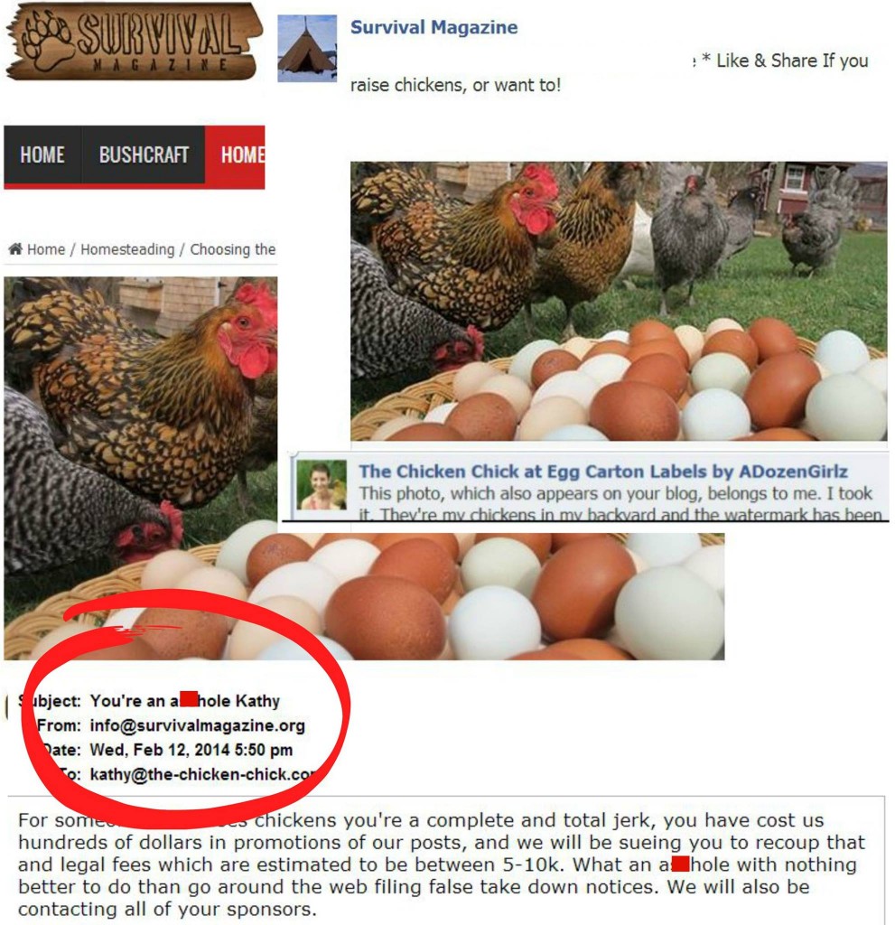 chicken chick email screenshot