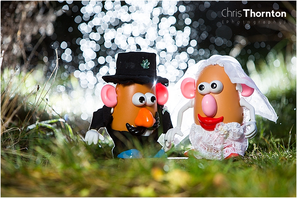 mr and mrs potatohead