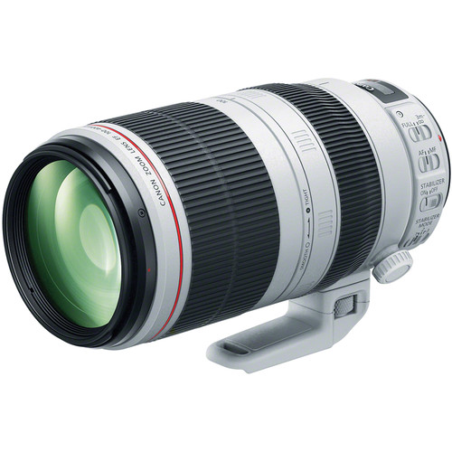 canon 100-400 2