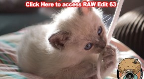 Edit this RAW File Week 63