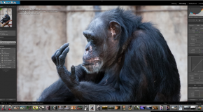 Edit this RAW File Week 64 – Your Raw Edits 63