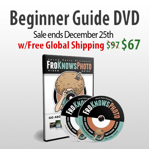 dvd_sale dvd sale Beginner Guide DVD Sale Ends Dec 25th